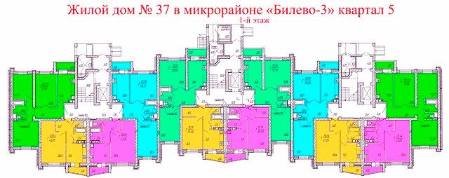 3907.jpg