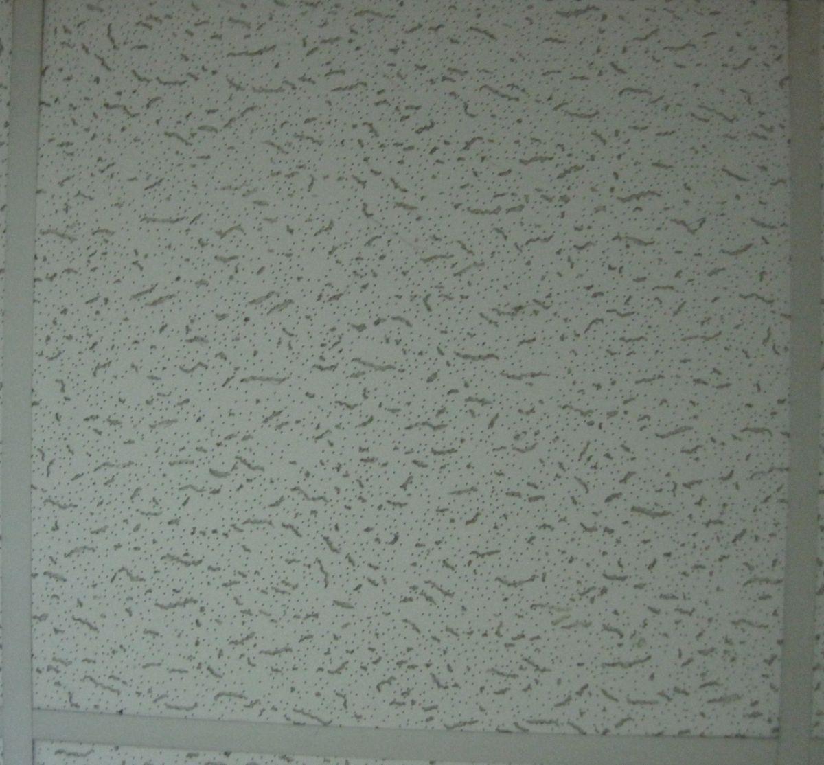 123.jpg