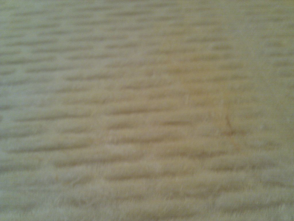 IMAG0888.jpg